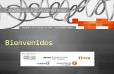 Agenda 9:45 – 10:00 Bienvenida y Presentación de la SOA Conference Fernando Bocigas, Jefe de Producto Plataforma de Aplicaciones 10:00 – 10:45 Real World.