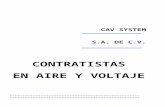 CURRICULUM CAV SYSTEM S.A. DE C.V. AL 14 FEBRERO11