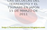Maremoto y Tsunami del 11 marzo 2001 en Japón