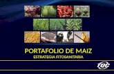PORTAFOLIO DE MAIZ ESTRATEGIA FITOSANITARIA. CULTIVO DE MAIZ Zonas de producción de maíz: El maíz amarillo duro es uno de los cultivos más importantes.