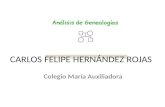 CARLOS FELIPE HERNÁNDEZ ROJAS Colegio María Auxiliadora.