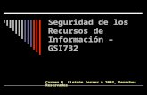 Seguridad de los Recursos de Información – GSI732 Carmen R. Cintrón Ferrer © 2003, Derechos Reservados.