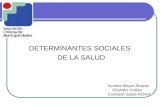 DETERMINANTES SOCIALES DE LA SALUD Ximena Meyer Àlvarez DISAMU Chillàn Comisiòn Salud ACHM.