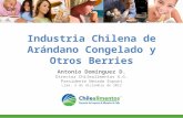 Industria Chilena de Arándano Congelado y Otros Berries Antonio Domínguez D. Director Chilealimentos A.G. Presidente Nevada Export Lima, 5 de diciembre.
