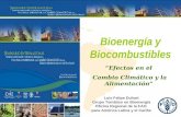 Luis Felipe Duhart Grupo Temático en Bioenergía Oficina Regional de la FAO para América Latina y el Caribe Bioenergía y Biocombustibles “Efectos en el.