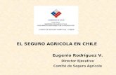 EL SEGURO AGRICOLA EN CHILE Eugenio Rodríguez V. Director Ejecutivo Comité de Seguro Agrícola.