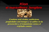 Kion el maravilloso Jengibre Kion el maravilloso Jengibre Contiene anti-virales, antitóxicos, propiedades anti hongos y se utiliza en la prevención y.