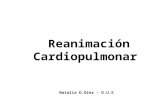 Reanimación Cardiopulmonar Natalia D.Díez – D.U.E.