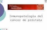 Inmunopatología del cáncer de próstata. Sistema inmunológico/inflamatorio y cáncer de próstata  ¿Participa el sistema inmunológico/ inflamatorio en la.