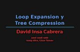 Introducción Depuración Algorítmica Dos técnicas Loop Expansion (nueva) Tree Compression (mejora) Demostración DDJ Conclusiones.