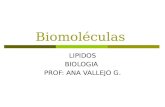 Biomoléculas LIPIDOS BIOLOGIA PROF: ANA VALLEJO G.
