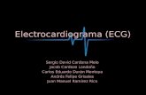 Electrocardiograma (ECG) Sergio David Cardona Melo Jacob Cardozo Londoño Carlos Eduardo Durán Montoya Andrés Felipe Grisales Juan Manuel Ramírez Rico.