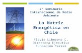 2° Seminario Internacional de Medio Ambiente La Matriz Energética en Chile Flavia Liberona C. Directora Ejecutiva Fundación Terram.
