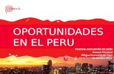 Gdgsdfgdsf hfhfghghg OPORTUNIDADES EN EL PERU MARTHA ANHUAMÁN DE LEÓN Aserora Principal Oficina Comercial del Perú Noviembre 2013.