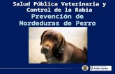Salud Pública Veterinaria y Control de la Rabia Prevención de Mordeduras de Perro.