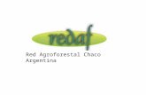 Red Agroforestal Chaco Argentina. La Red Agroforestal Chaco Argentina (REDAF) es, desde abril de 2006, una Asociación Civil sin fines de lucro. Se consolidó.
