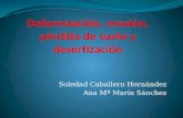 Soledad Caballero Hernndez Ana M Mar­n Snchez