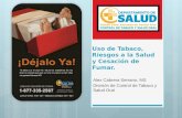 Uso de Tabaco, Riesgos a la Salud y Cesación de Fumar. Alex Cabrera Serrano, MS División de Control de Tabaco y Salud Oral.