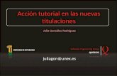 Acción tutorial en las nuevas titulaciones juliagon@unex.es Julia González Rodríguez.