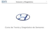 Teoria y Diagnostico de Sensores (Presentacion)