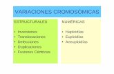 Variaciones cromosomicas