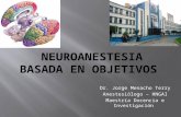 Neuroanestesia Basada en Objetivos