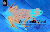 Amazonia Viva - Una década de descubrimientos: 1999-2009