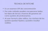 Tecnica de Ritchie-Ver 2003