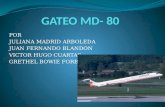 GATEO MD- 80