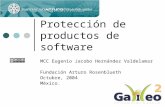 Protecci³n de software