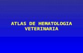 Atlas de Hematologia Veterinaria 2