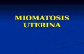 MIOMATOSIS UTERINA(2)