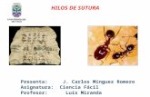 HILOS DE SUTURA Historia y Evolución Presenta: J. Carlos Mínguez Romero Asignatura: Ciencia Fácil Profesor: Luís Miranda.