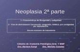 Neoplasia 2ª parte 1.-Características de Benignidad y malignidad. 2.- Vías de diseminación cancerosas: sanguínea, linfática, por contigüidad, por implantación.