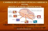 CAMBIOS DE LA FRECUENCIA CARDIACA FETAL SEGÚN LA EDAD GESTACIONAL Obstetriz: María Luisa Manchego Guillén Unidad de Medicina Fetal-INMP Unidad de Medicina.