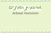 Arbaat Haminim. El mercado de las cuatro especies en Ierushalaim Desde el día que sigue a Iom Kipur y hasta la víspera de Sucot, alrededor de la "Plaza.