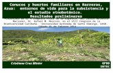Conucos y huertos familiares en Barreras, Azua: entornos de vida para la subsistencia y el estudio etnobotánico. Resultados preliminares Cristiana Cruz.