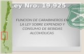 Ley Nro. 19.925 FUNCION DE CARABINEROS EN LA LEY SOBRE EXPENDIO Y CONSUMO DE BEBIDAS ALCOHOLICAS.