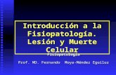 Introducción a la Fisiopatología. Lesión y Muerte Celular Fisiopatología Prof. MD. Fernando Moya-Méndez Eguiluz.