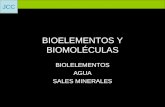 JCC BIOELEMENTOS Y BIOMOLÉCULAS BIOLELEMENTOS AGUA SALES MINERALES.
