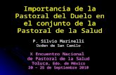 Importancia de la Pastoral del Duelo en el conjunto de la Pastoral de la Salud P. Silvio Marinelli Orden de San Camilo X Encuentro Nacional de Pastoral.