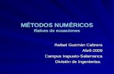 MÉTODOS NUMÉRICOS Raíces de ecuaciones Rafael Guzmán Cabrera Abril-2009 Campus Irapuato-Salamanca División de Ingenierías.