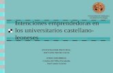 Intenciones emprendedoras en los universitarios castellano-leoneses INVESTIGADOR PRINCIPAL: José Carlos Sánchez García OTROS MIEMBROS: Cristina del Villar.