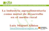La industria agroalimentaria como motor de desarrollo en el medio rural Luis Miguel Albisu lmalbisu@aragon.es.