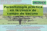 Parasitología práctica en la clínica de campo de vacuno Susana Astiz Blanco 1 Laura Elvira Partida 1 Juan Vicente González Martín 1, 2 1 AMASVET SL 2 Dpto.