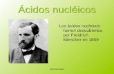 Ácidos nucléicos Los ácidos nucleicos fueron descubiertos por Freidrich Miescher en 1869 Mirel Nervenis.