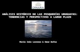 ANÁLISIS HISTÓRICO DE LAS PESQUERÍAS URUGUAYAS: TENDENCIAS Y PERSPECTIVAS A LARGO PLAZO María Inés Lorenzo & Omar Defeo.