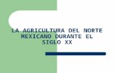 LA AGRICULTURA DEL NORTE MEXICANO DURANTE EL SIGLO XX.