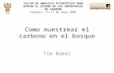 TALLER DE ANÁLISIS ESTADÍSTICO PARA APOYAR EL DISEÑO DE LOS INVENTARIOS DE CARBONO Iquitos, 15-17 de mayo 2009 Tim Baker Como muestrear el carbono en el.