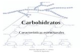 Nutrición Aplicada 2012. C. Cabrera. Facultad de Agronomía Carbohidratos Características estructurales.